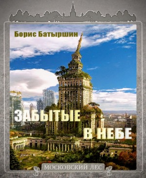 Забытые в небе – аудиокнига