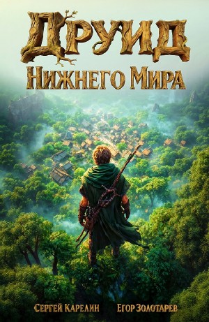 Друид Нижнего мира – аудиокнига
