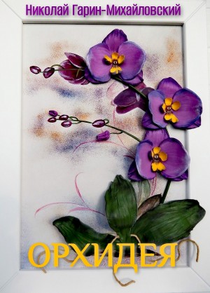 Орхидея – аудиокнига