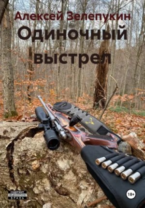Одиночный выстрел