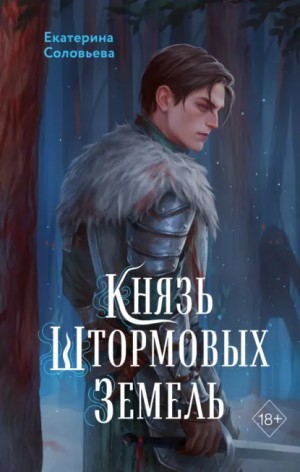 Князь Штормовых Земель – аудиокнига