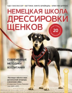 Немецкая школа дрессировки щенков. Современные методики воспитания