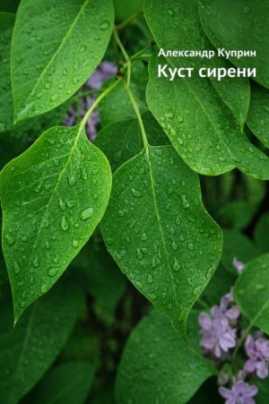 Куст сирени – аудиокнига