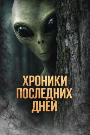 Хроники последних дней – аудиокнига
