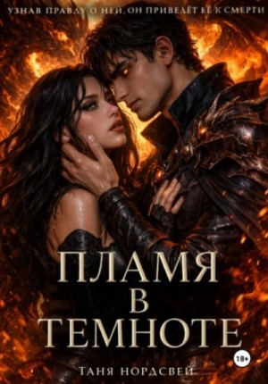 Пламя в темноте – аудиокнига