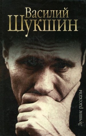 Рассказы. Часть 5 – аудиокнига