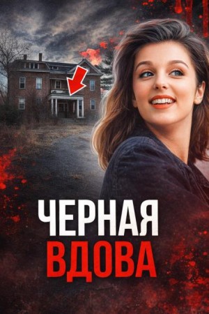 Чёрная вдова Джорджии – аудиокнига