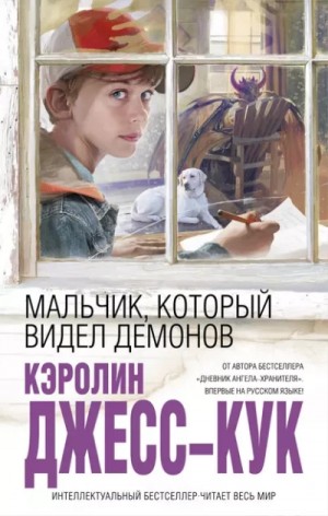 Мальчик, который видел демонов – аудиокнига
