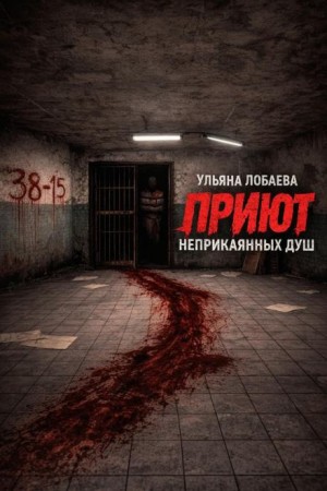 Приют неприкаянных душ – аудиокнига