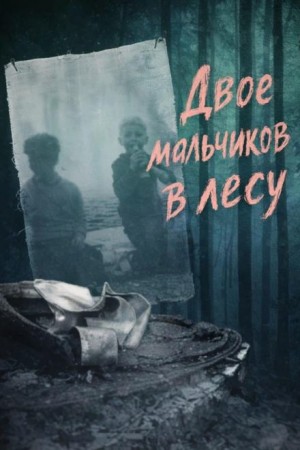 Двое мальчиков в лесу – аудиокнига