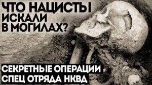 Дело № 6. Проклятая деревня – аудиокнига