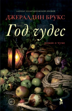 Год чудес – аудиокнига