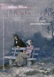 Несчастье – аудиокнига