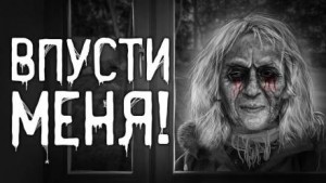 Впусти меня! – аудиокнига