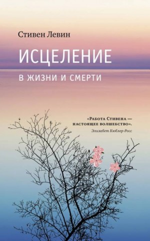 Исцеление в жизни и смерти – аудиокнига