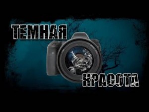 Темная красота – аудиокнига