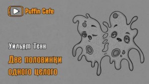 Две половинки одного целого – аудиокнига