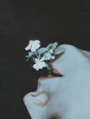 Чрево – аудиокнига