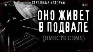 Приключения археологов: 4. Простые житейские радости – аудиокнига