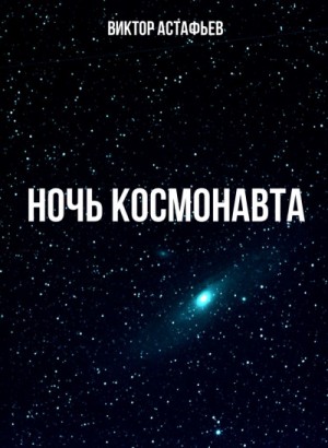 Ночь космонавта – аудиокнига